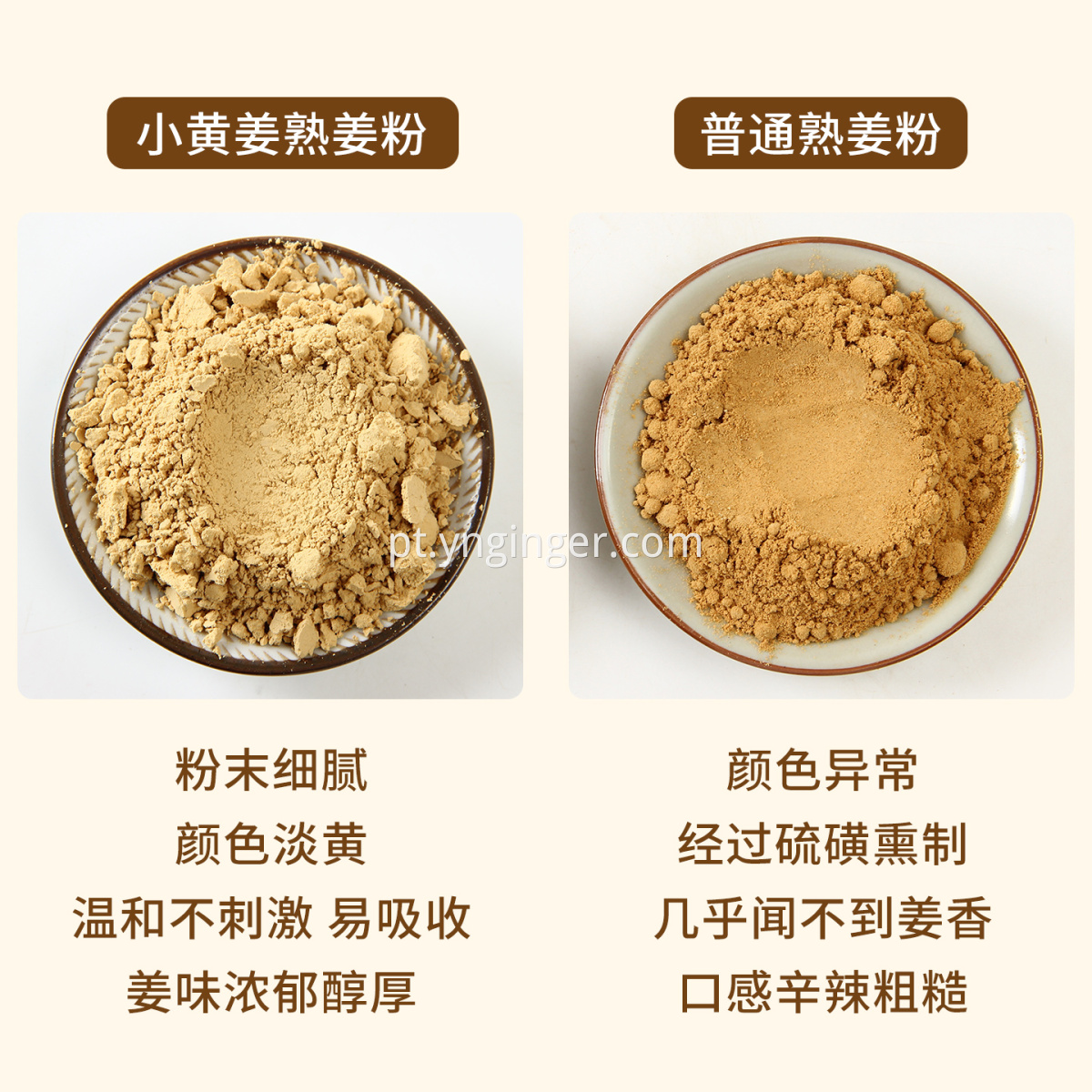 Roasted Ginger Powder